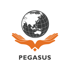 Trường Cao đẳng Quốc tế Pegasus